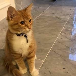 Meet your Posher, Aspen